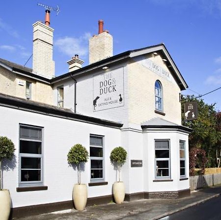 The Dog And Duck Suffolk Lägenhet Woodbridge Exteriör bild
